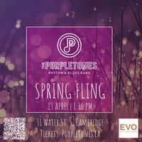 Purpletones Spring Fling @ EVO