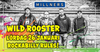 Jan 26th 2019: Wild Rooster - Tibro (Sweden)