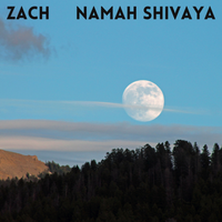 Namash Shivaya by Zach