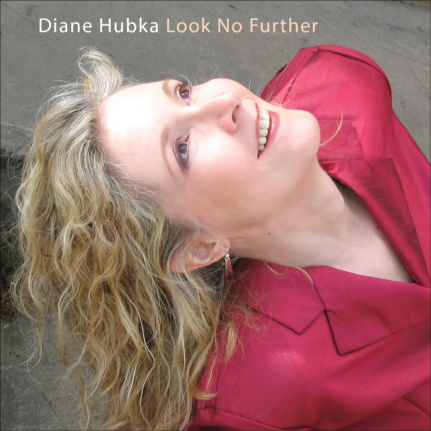 Look No Further - song and lyrics by Diane Hubka | Spotify