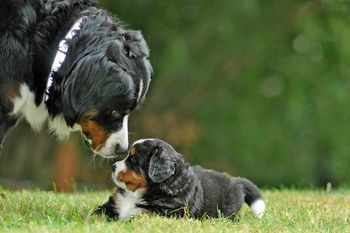 Jasmine and baby Chloe
