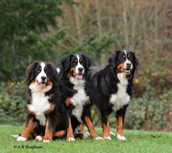 3 generations, Sophie (6 mo. old), Molly and Kaja
