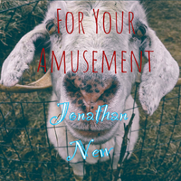 For Your Amusement by Jonathan New
