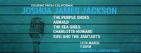 The Purple Shoes Support Joshua James Jackson 