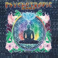 The Psychotropic Band: Established Unknown | 2011
