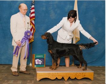 Winners Bitch from 9-12 Mo Class @ Meadowlands Specialty day 1 Feb 2013. Judge Dan Dowling
