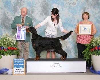 New Champion Ida - Best of Winners GSCA Host Specialty Judge Robert Dunsmuir
