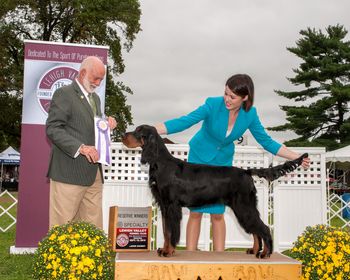 GSCA MidAtlantic1 2018 Judge Sam Houston McDonald
