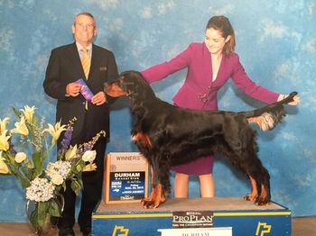 Henri @ 9 months. 1st points from puppy class. Judge Dana Cline
