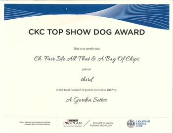 Chip is awarded #3 Gordon Setter in Canada for 2017
