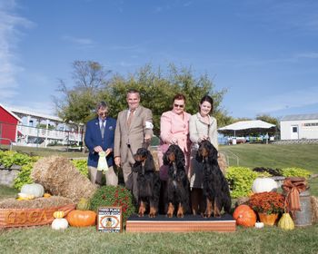 3rd place Brood Bitch class 2019 National; Ida w/Chip & Dewey. Judge Richard Powell
