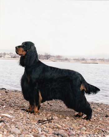 on the beach in Boston Harbor, Dec 2003
