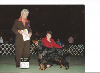 Ch Sastya Sundance Free To Be Me JH (Leonard)
