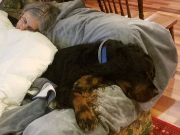 Duncan Miller [Zeus x Clare] napping with his mom
