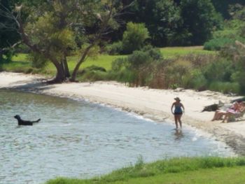 Duncan Miller [Zeus x Clare] swimming on the river
