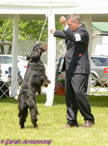 Tux is excited to be back in the ring!
