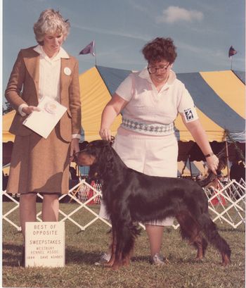 BOS Puppy Sweeps Paumanauk 1984
