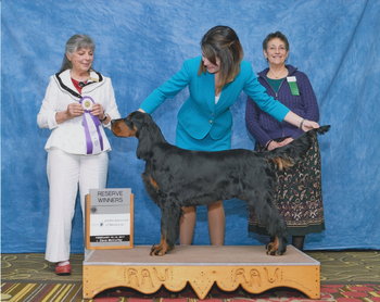 Reserve Winners Winter Garden Specialty Judge Jill Warren
