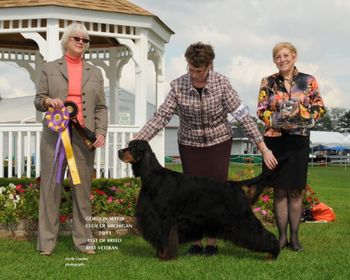 Am GCH Can Ch Windcrest's Take It To The Limit (Scovil)
