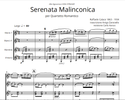 Raffaele Calace - Serenata Malinconica per Quartetto Romantico