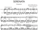 Enrico Toselli - Serenata (Rimpianto) Op. 6 N. 1 - Mandolino e Chitarra