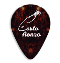 6 Carlo Aonzo Signature Picks - 6 Plettri Carlo Aonzo Signature