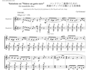 Carl Schimmel - Variations on "Volevo un Gatto Nero" 「黒猫のタンゴ」 による変奏曲 for Mandolin Duo 