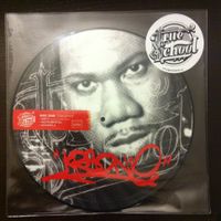 Picture disc KRS ONE