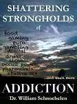 DVD Shattering Strongholds of ADDICTION