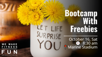 Boot Camp with Freebies