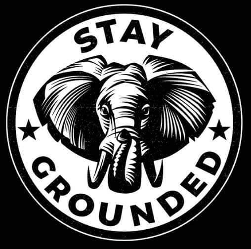 STAY GROUNDED