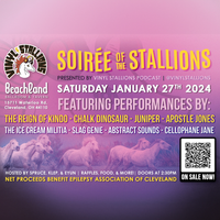 Soiree of the Stallions