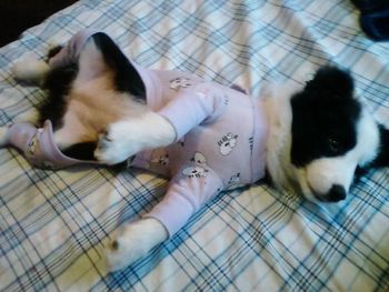 Gracie in her sheep pajamas
