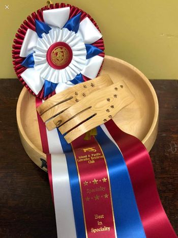Best in Specialty prize. Woodwork and bowl donated by Brian Kemper, IPLRC member. Artwork by Wendy Tisdall, IPLRC member.
