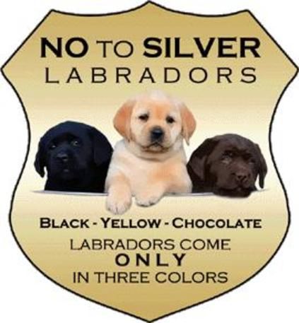 Ocean clearance spray labradors