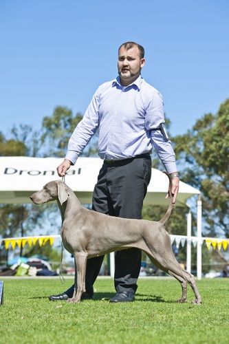 Winning RU Best in Show- Lulu
