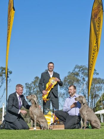 Best in Show & RU Best in Show Maddi and Lulu Oct 2012 Speciality
