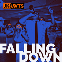 Falling Down (2019) by John Kay & Who's To Say