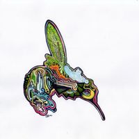 "Liquid Hummingbird" hand-colored print
