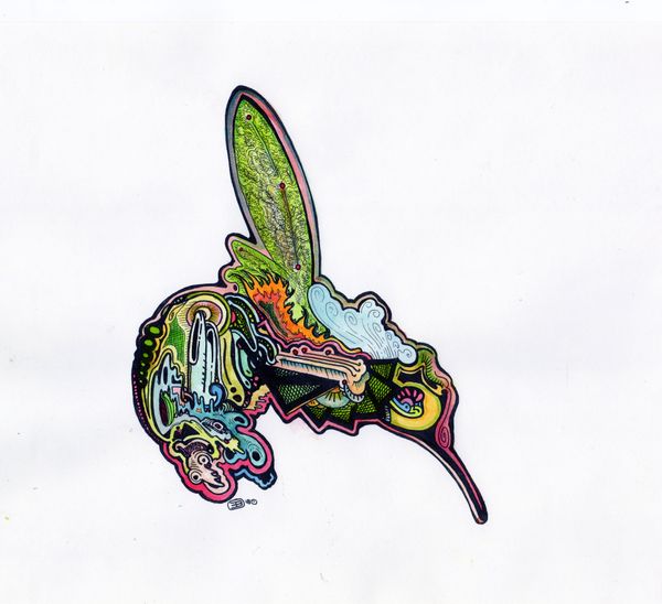"Liquid Hummingbird" hand-colored print