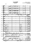 Villieläinräppi Big Band arrangement (Score & Parts) pdf