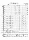 Sademetsän painajainen Big Band arrangement (Score & Parts) pdf