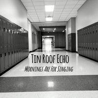 Mornings Are For Singing (2019) by Tin Roof Echo