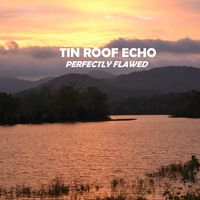 Perfectly Flawed (2014) by Tin Roof Echo
