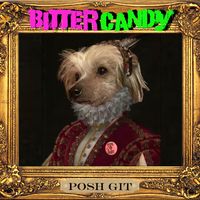 Posh Git by Bitter Candy
