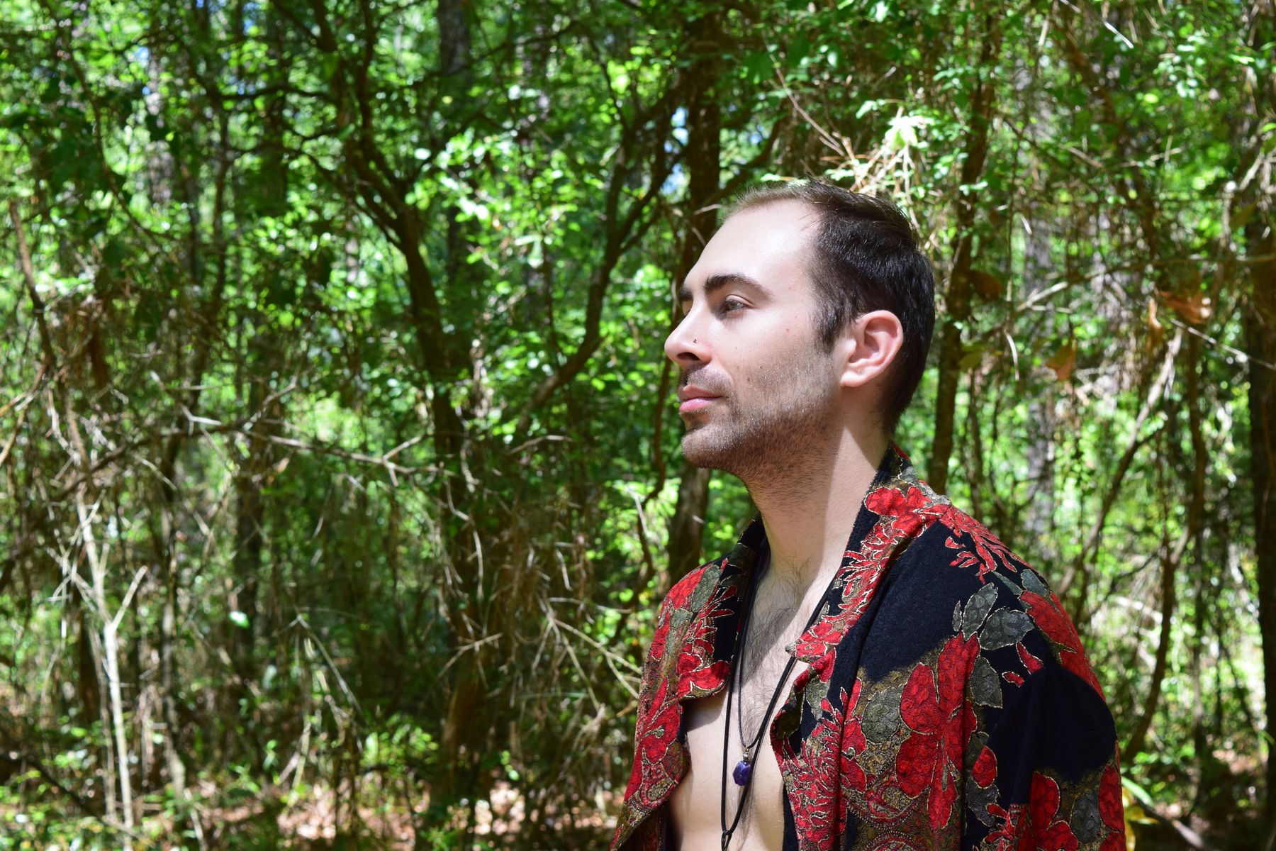 Ursidaye Ursidae