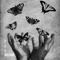 1,2,3, Release by Living Sound Delusions