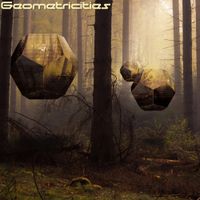 Geometricities by Living Sound Delusions