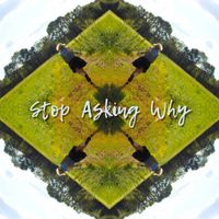 Stop Asking Why (Ft. Turtle) by Living Sound Delusions