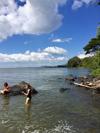 Mermaids swimming
